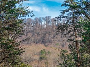 J237 Pine Ridge Ct, Ellijay, GA 30536