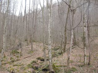 9999 Daniel Branch Rd, Stinnett, KY 40868