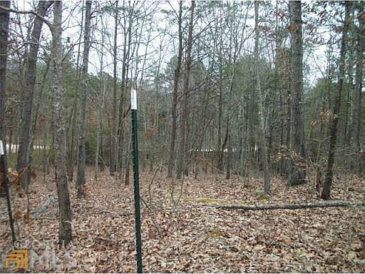 2nd image of 2129 County Road 812