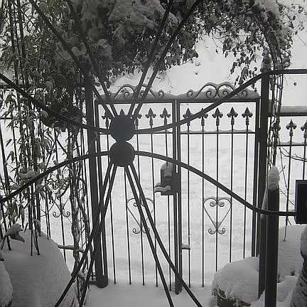 snowy front gates!