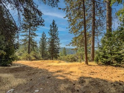 19074 Pine Dr E, Pioneer, CA, 95666