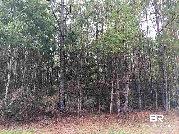 3rd image of 0 Horseshoe Bend Rd