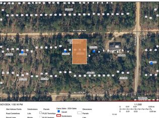 119-123 Saint Lucie Ave #10, Interlachen, FL 32148