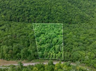 W Bobcat Ln, Wilder, TN 38589