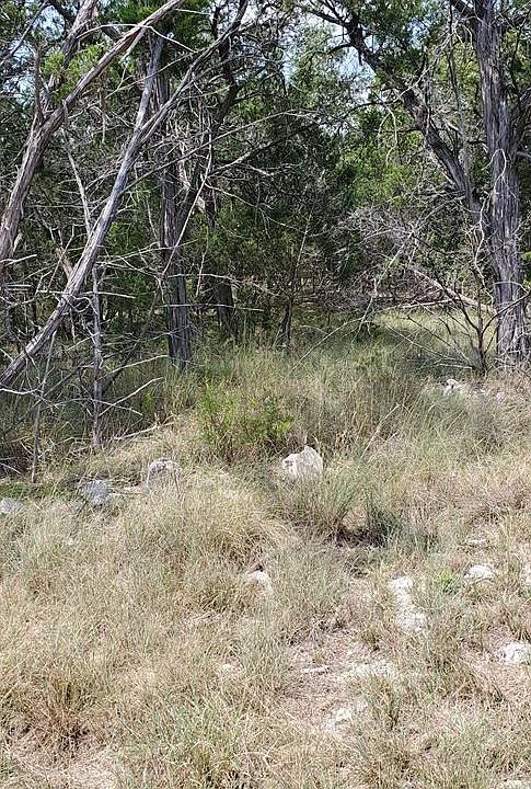 2nd image of 2295 Fuller Dr