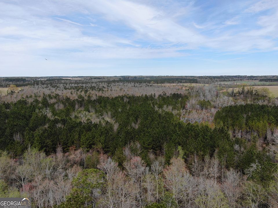 0 Sheltons Chapel Rd, Lumber City, GA 31549 MLS 10287702 Zillow