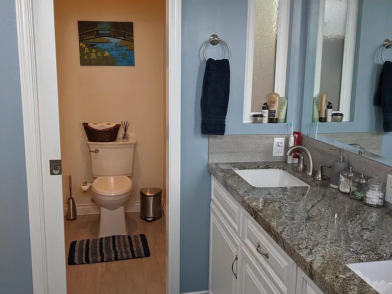 Primary suite bathroom