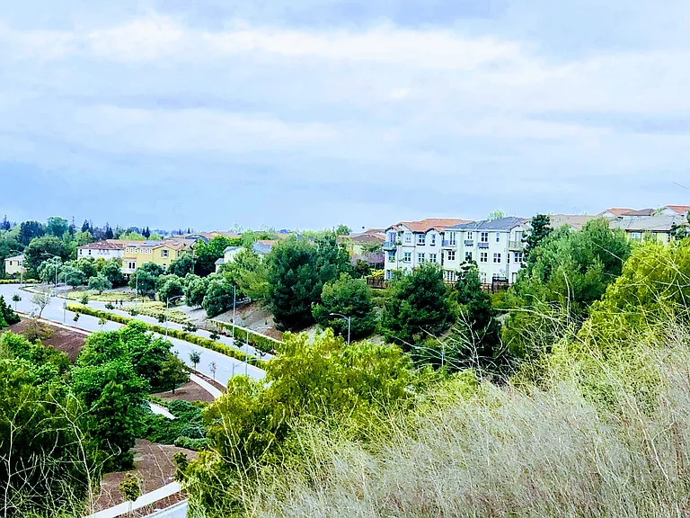 2221 Golden Crest Cmns — Photo 13