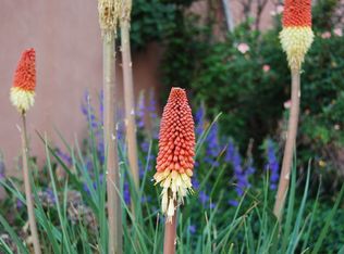 4110 Alabama Ave, Los Alamos, NM 87544