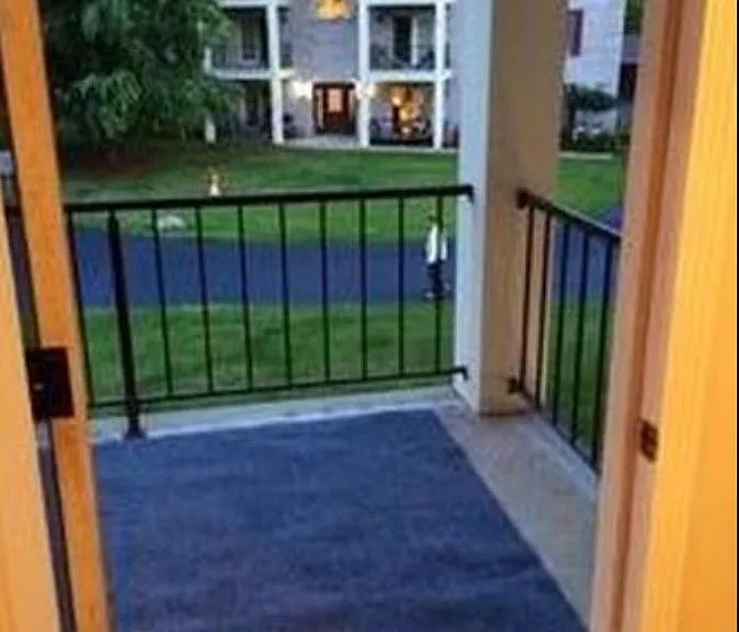 7374 Eisenhower Dr #4 — Photo 5