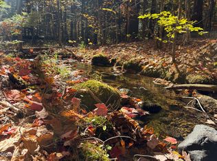 L4 Beartown Rd, Lake Luzerne, NY 12846