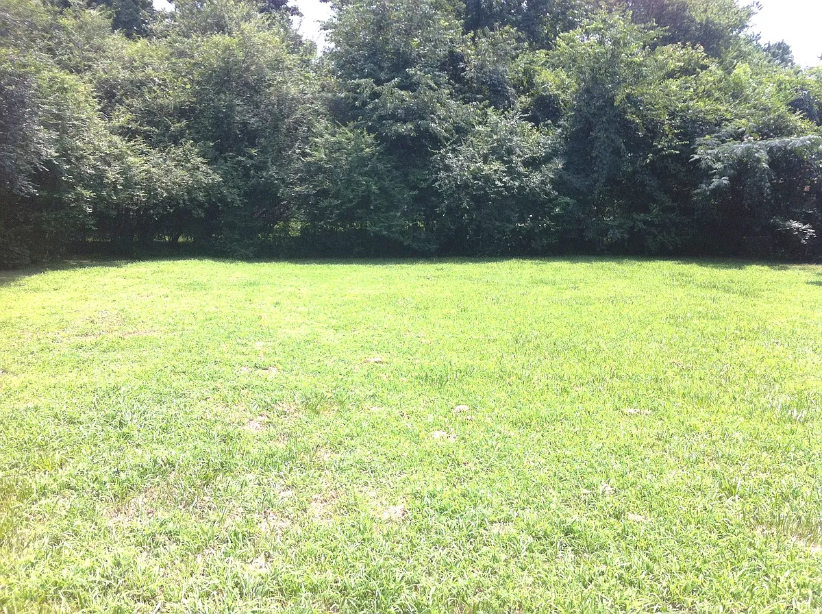 Building Photo - 6808 Covecreek Dr
