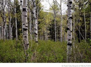 84 Ashley Dr, Oakley, UT 84055