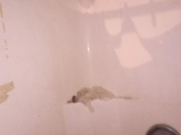 houston-texas-161210262 picture