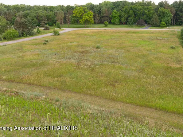 1035 Cherry Valle Ln, Williamston, MI 48895