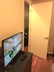 Rented by P Management