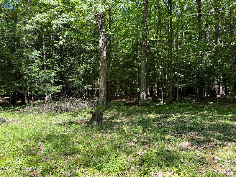 4th image of 317 Lampman Road