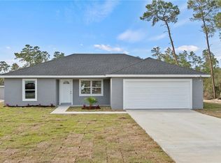 3910 SW 169th Lane Rd, Ocala, FL 34473