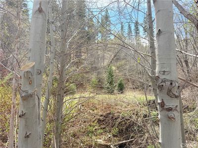 0 Walnut Dr Lot 56, Cedar Glen, CA, 92321