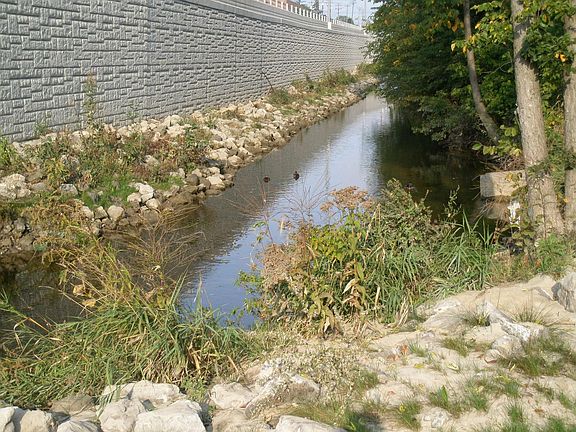 Rolling River