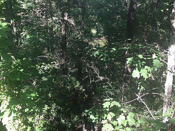 3rd image of 11791 Meadowview Dr