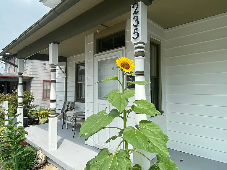 235 E Lamb St — Photo 10