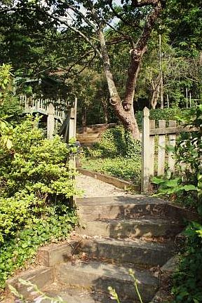 3rd image of 1109 Cedar Pl