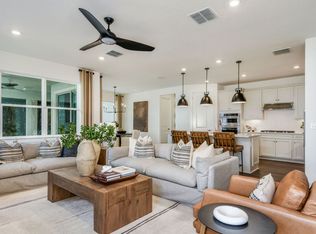 33433 Barnebrook Dr, Wesley Chapel, FL 33545