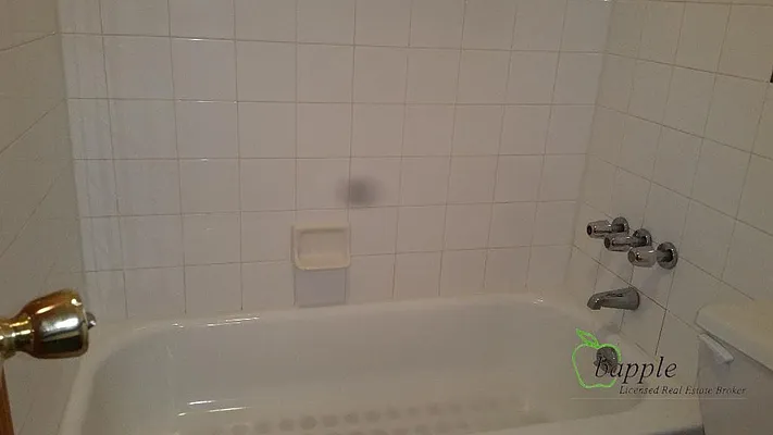 Rented by Bapple | media 31