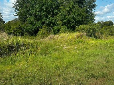 15138 NW 262nd Street, Okeechobee, FL, 34972