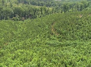 0 Low Gap Rd, Sugar Tree, TN 38380