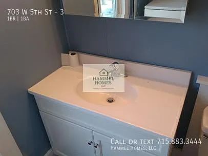 703 W 5th St #3 — Photo 18