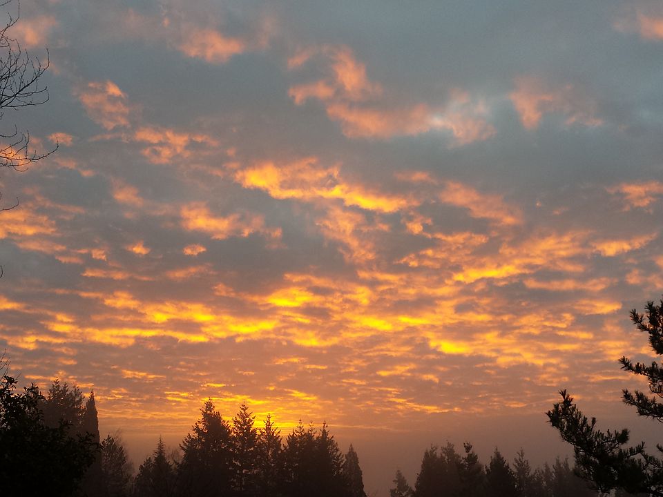 Sunrise on the front deck