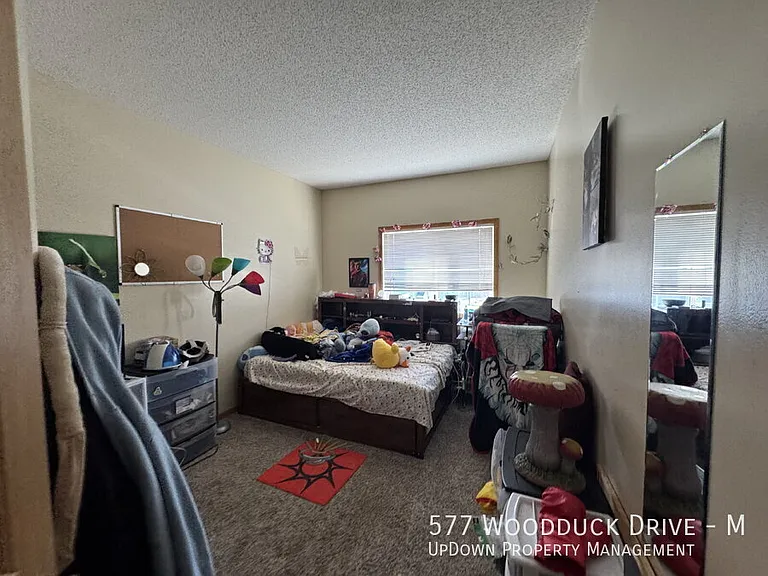 577 Woodduck Dr #M — Photo 16