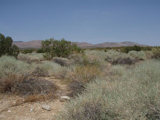 2nd image of Hwy By Salton Sea Ofc 78