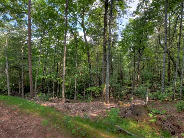 0 Sugar Creek Rd, Blue Ridge, GA 30513