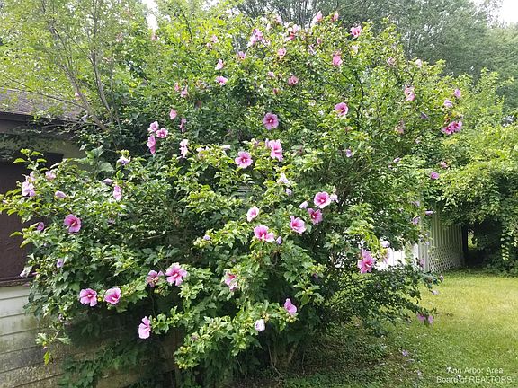 4th image of 2030 Garden Ct