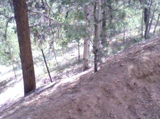 237 Brigham St, Bailey, CO 80421