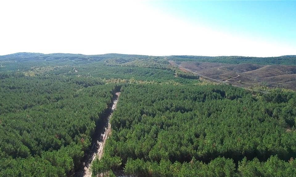 1st image of 61 Bear Cedar Trl #24