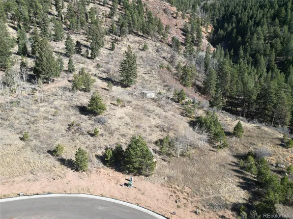 18 Blue Haven Place, Woodland Park, CO 80863