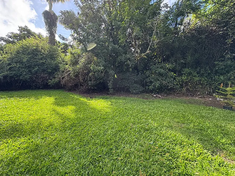 17-1156 Volcano Rd #1 — Photo 8