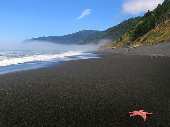 black sand beach @ road end