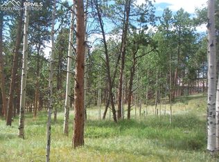 681 Skyline Dr, Woodland Park, CO 80863