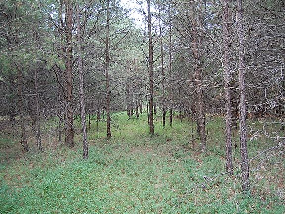 4th image of 36 Bluff View Dr