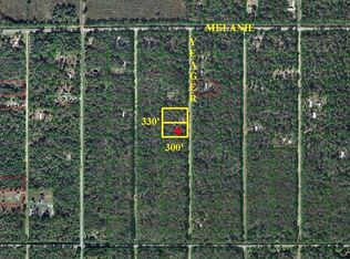 10055 Yeager Ave, Hastings, FL 32145