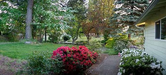 View from front porch