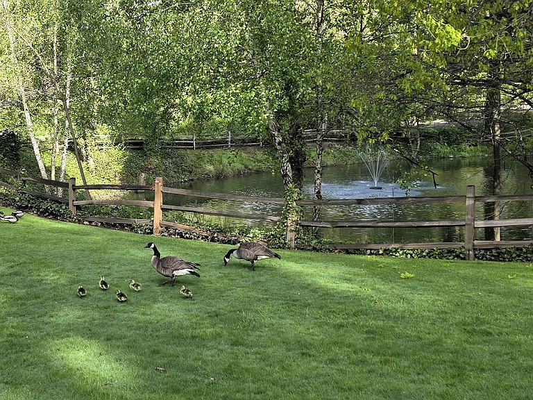 Crystal Lake — Photo 48