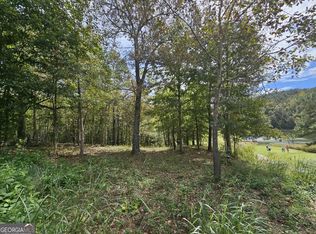 42 Lookout Point, Toccoa, GA 30577