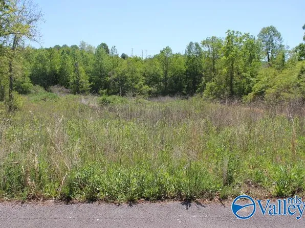 10 Creek Dr, Rainsville, AL 35986