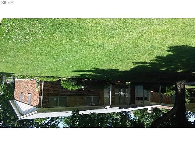 12 Tamma Ln photo 1